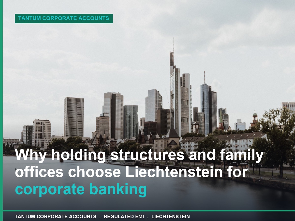 Why Holding Structures Choose Liechtenstein