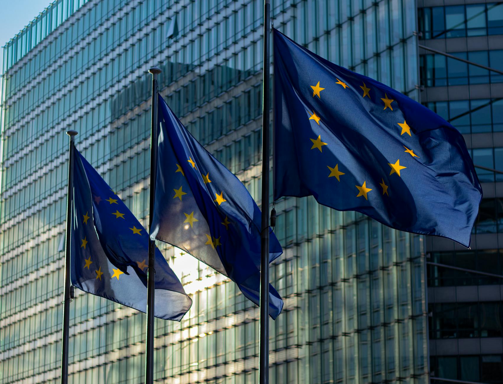 European Union member state flags outside regulatory institution building